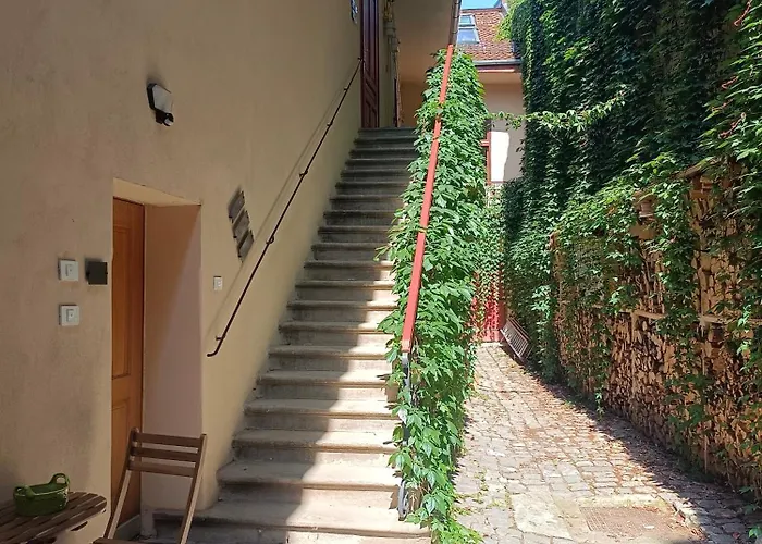 Pif Hirscher * Brașov